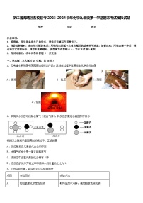 浙江省海曙区五校联考2023-2024学年化学九年级第一学期期末考试模拟试题含答案