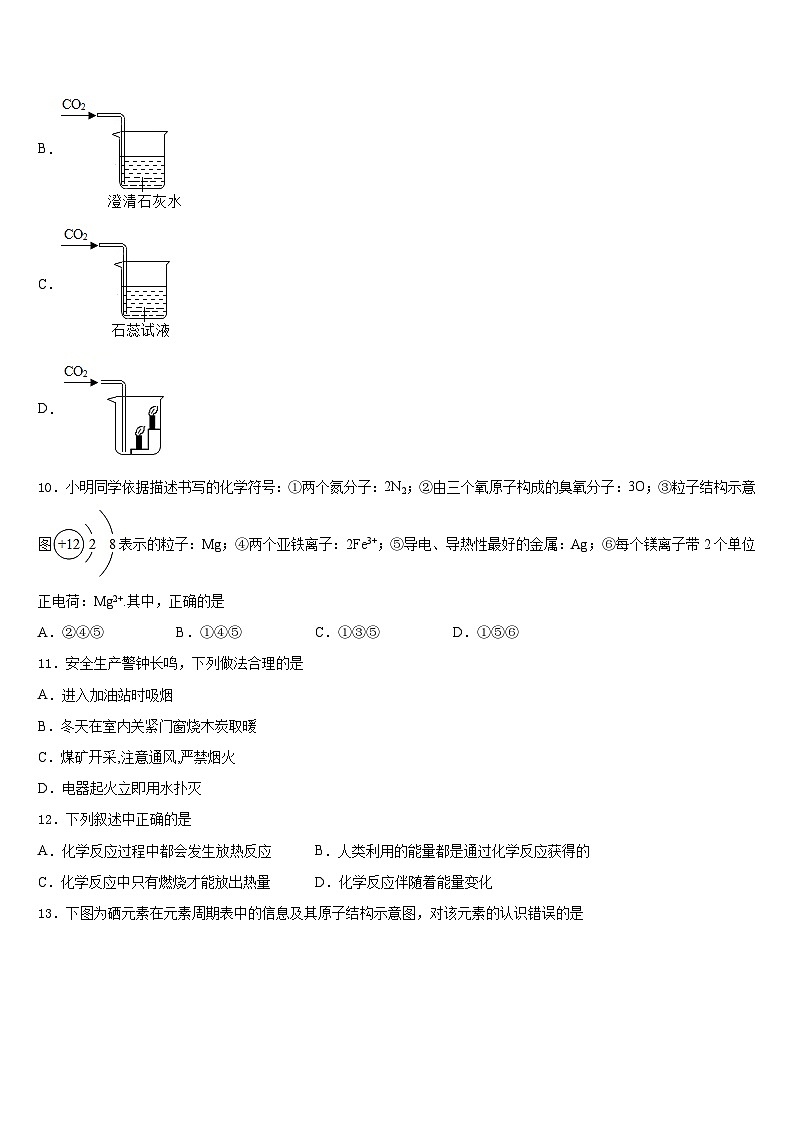 浙江省杭州市朝晖中学2023-2024学年化学九年级第一学期期末经典模拟试题含答案第3页
