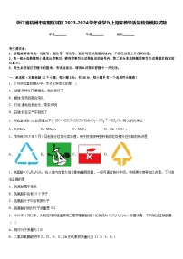 浙江省杭州市富阳区城区2023-2024学年化学九上期末教学质量检测模拟试题含答案