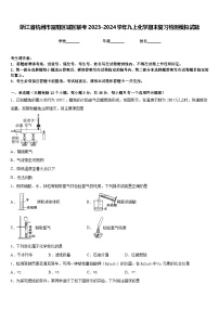 浙江省杭州市富阳区城区联考2023-2024学年九上化学期末复习检测模拟试题含答案