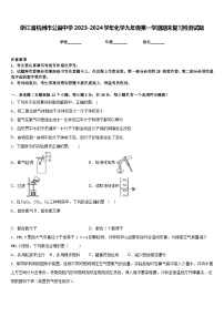 浙江省杭州市公益中学2023-2024学年化学九年级第一学期期末复习检测试题含答案