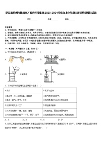 浙江省杭州市锦绣育才教育科技集团2023-2024学年九上化学期末质量检测模拟试题含答案