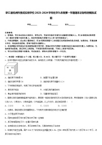 浙江省杭州市景成实验学校2023-2024学年化学九年级第一学期期末达标检测模拟试题含答案