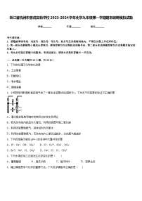 浙江省杭州市景成实验学校2023-2024学年化学九年级第一学期期末调研模拟试题含答案