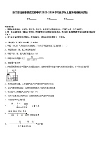 浙江省杭州市景成实验中学2023-2024学年化学九上期末调研模拟试题含答案