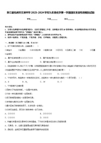 浙江省杭州市文澜中学2023-2024学年九年级化学第一学期期末质量检测模拟试题含答案