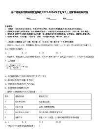 浙江省杭州市英特外国语学校2023-2024学年化学九上期末联考模拟试题含答案