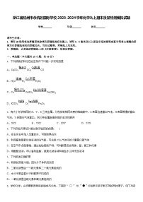 浙江省杭州市余杭区国际学校2023-2024学年化学九上期末质量检测模拟试题含答案