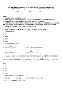 浙江省杭州萧山瓜沥片学校2023-2024学年九上化学期末经典模拟试题含答案