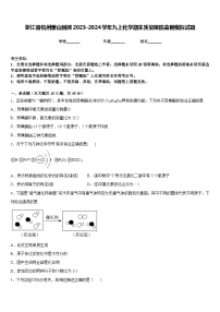 浙江省杭州萧山回澜2023-2024学年九上化学期末质量跟踪监视模拟试题含答案