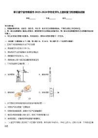 浙江省宁波市慈溪市2023-2024学年化学九上期末复习检测模拟试题含答案