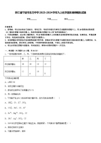 浙江省宁波市东方中学2023-2024学年九上化学期末调研模拟试题含答案