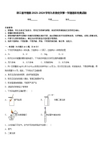 浙江省平阳县2023-2024学年九年级化学第一学期期末经典试题含答案