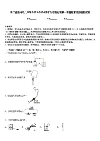 浙江省温州市八中学2023-2024学年九年级化学第一学期期末检测模拟试题含答案