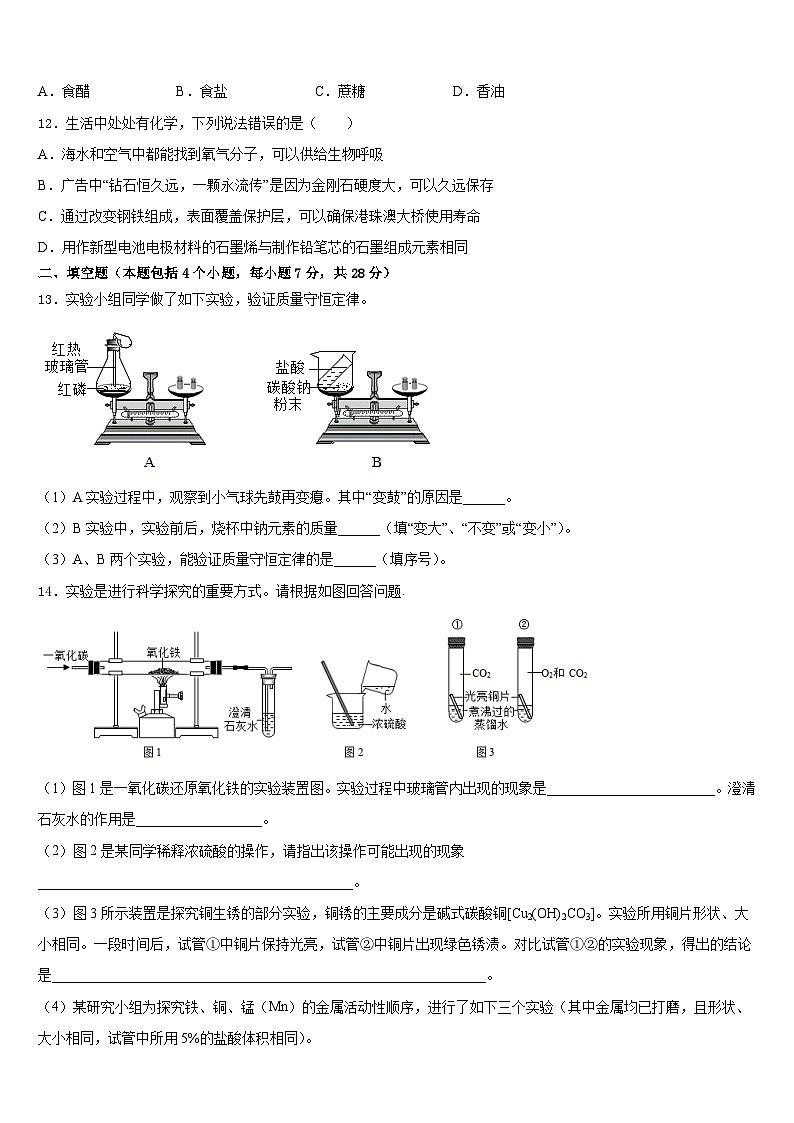 浙江省温州市八中学数2023-2024学年九年级化学第一学期期末调研试题含答案第3页