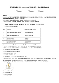 浙江省温州市五校2023-2024学年化学九上期末联考模拟试题含答案