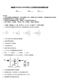 海南海口市2023-2024学年九上化学期末质量检测模拟试题含答案