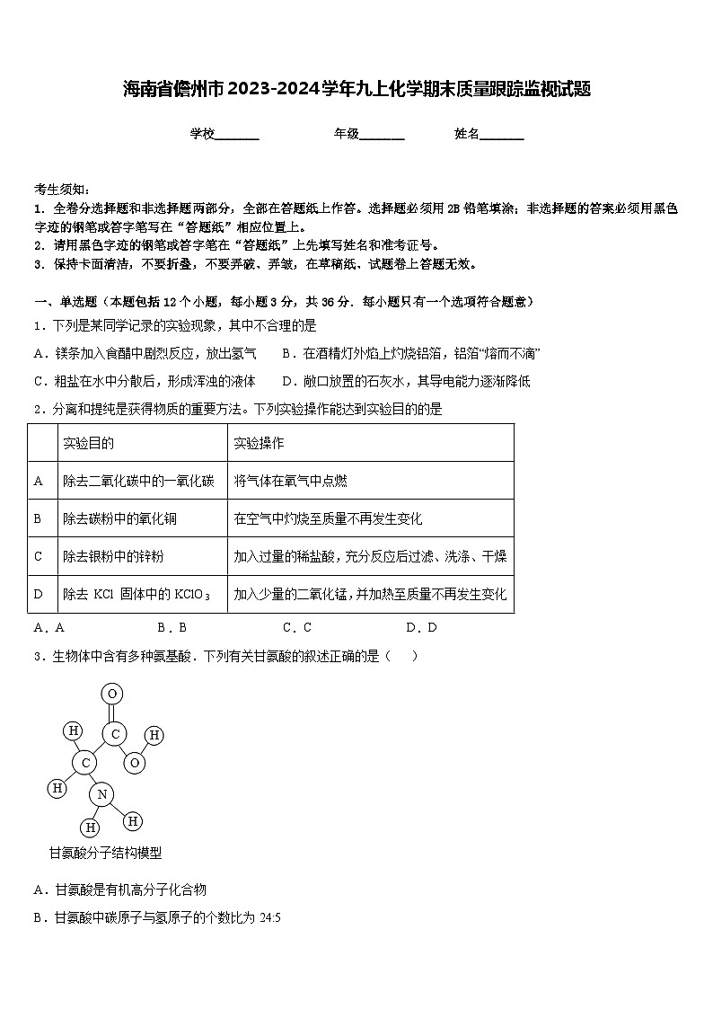 海南省儋州市2023-2024学年九上化学期末质量跟踪监视试题含答案01