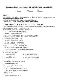 海南省海口市美兰区2023-2024学年九年级化学第一学期期末联考模拟试题含答案