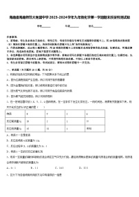 海南省海南师范大附属中学2023-2024学年九年级化学第一学期期末质量检测试题含答案