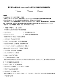 浙江金华市第五中学2023-2024学年化学九上期末质量检测模拟试题含答案