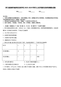 浙江省湖州市南浔区实验学校2023-2024学年九上化学期末达标检测模拟试题含答案