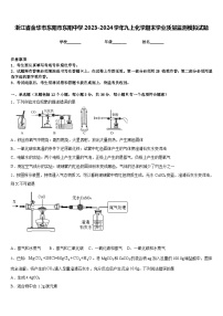 浙江省金华市东阳市东阳中学2023-2024学年九上化学期末学业质量监测模拟试题含答案