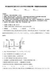 浙江省金华市兰溪市2023-2024学年九年级化学第一学期期末达标测试试题含答案