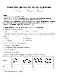 浙江省绍兴柯桥区七校联考2023-2024学年化学九上期末复习检测试题含答案