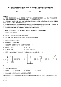 浙江省绍兴柯桥区七校联考2023-2024学年九上化学期末联考模拟试题含答案