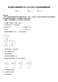 浙江省绍兴市皋埠镇中学2023-2024学年九上化学期末调研模拟试题含答案