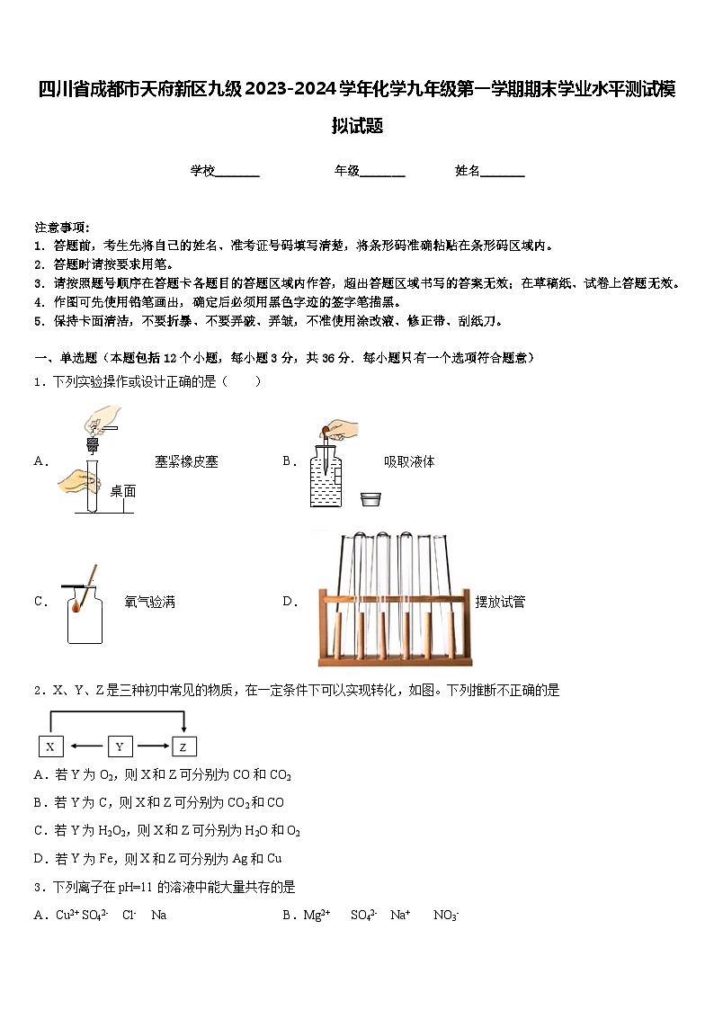 四川省成都市天府新区九级2023-2024学年化学九年级第一学期期末学业水平测试模拟试题含答案01