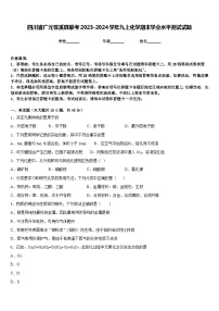 四川省广元苍溪县联考2023-2024学年九上化学期末学业水平测试试题含答案