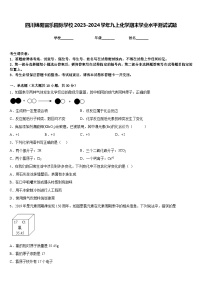 四川绵阳富乐园际学校2023-2024学年九上化学期末学业水平测试试题含答案