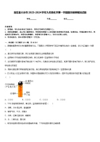 湖北省大冶市2023-2024学年九年级化学第一学期期末调研模拟试题含答案