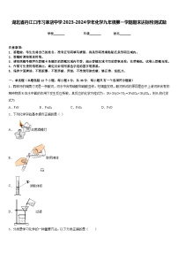 湖北省丹江口市习家店中学2023-2024学年化学九年级第一学期期末达标检测试题含答案