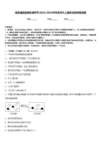 湖北省恩施州东城中学2023-2024学年化学九上期末达标检测试题含答案