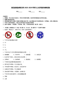 湖北省恩施州利川市2023-2024学年九上化学期末调研试题含答案