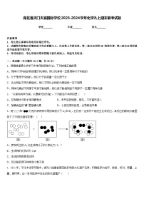 湖北省天门天宜国际学校2023-2024学年化学九上期末联考试题含答案