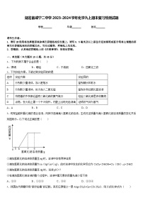 湖北省咸宁二中学2023-2024学年化学九上期末复习检测试题含答案