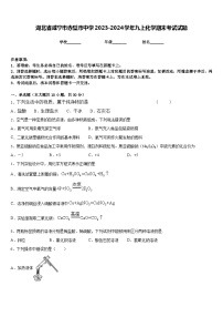 湖北省咸宁市赤壁市中学2023-2024学年九上化学期末考试试题含答案