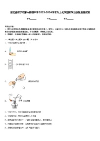 湖北省咸宁市第六初级中学2023-2024学年九上化学期末学业质量监测试题含答案