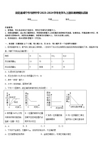 湖北省咸宁市马桥中学2023-2024学年化学九上期末调研模拟试题含答案