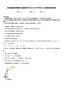 湖北省宜昌市夷陵区东湖初级中学2023-2024学年九上化学期末经典试题含答案