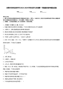 深圳市华侨实验中学2023-2024学年化学九年级第一学期期末联考模拟试题含答案