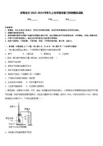 深圳龙文2023-2024学年九上化学期末复习检测模拟试题含答案