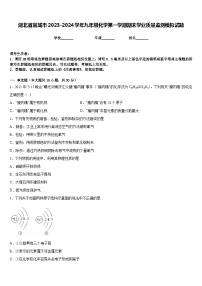 湖北省宜城市2023-2024学年九年级化学第一学期期末学业质量监测模拟试题含答案