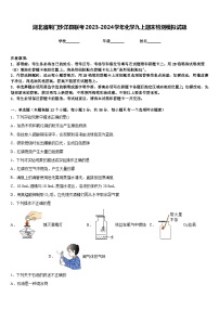 湖北省荆门沙洋县联考2023-2024学年化学九上期末检测模拟试题含答案