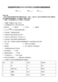 湖北省荆州市洪湖市2023-2024学年九上化学期末质量跟踪监视试题含答案