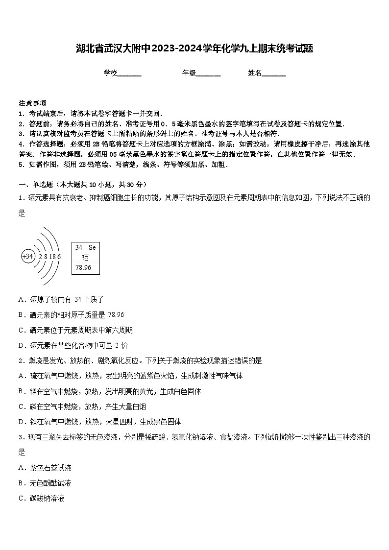 湖北省武汉大附中2023-2024学年化学九上期末统考试题含答案第1页